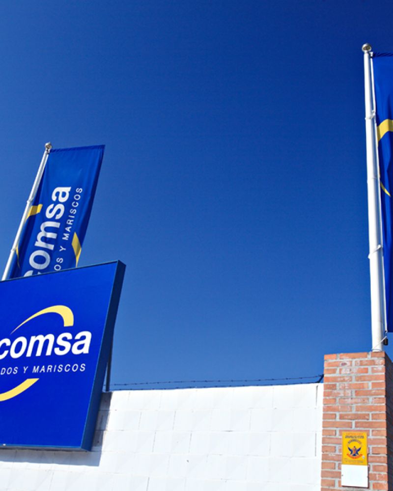 0-Iceland-Seafood-announces-the-sale-of-the-Malaga-based-distribution-company-Ecomsa (Demo)