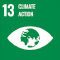 SDG 13